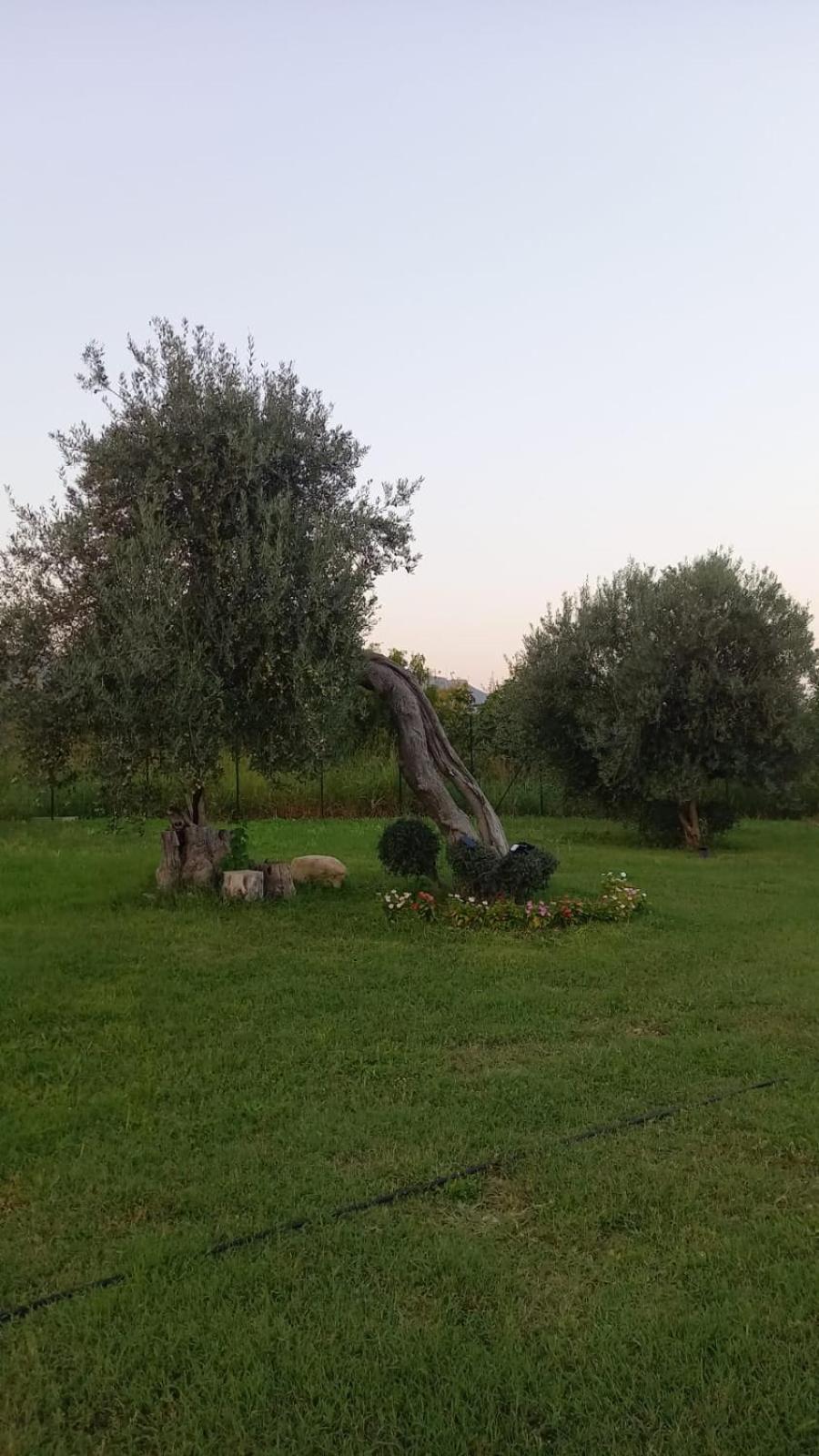 I Secolari Di Giulia Villa Avola Kültér fotó