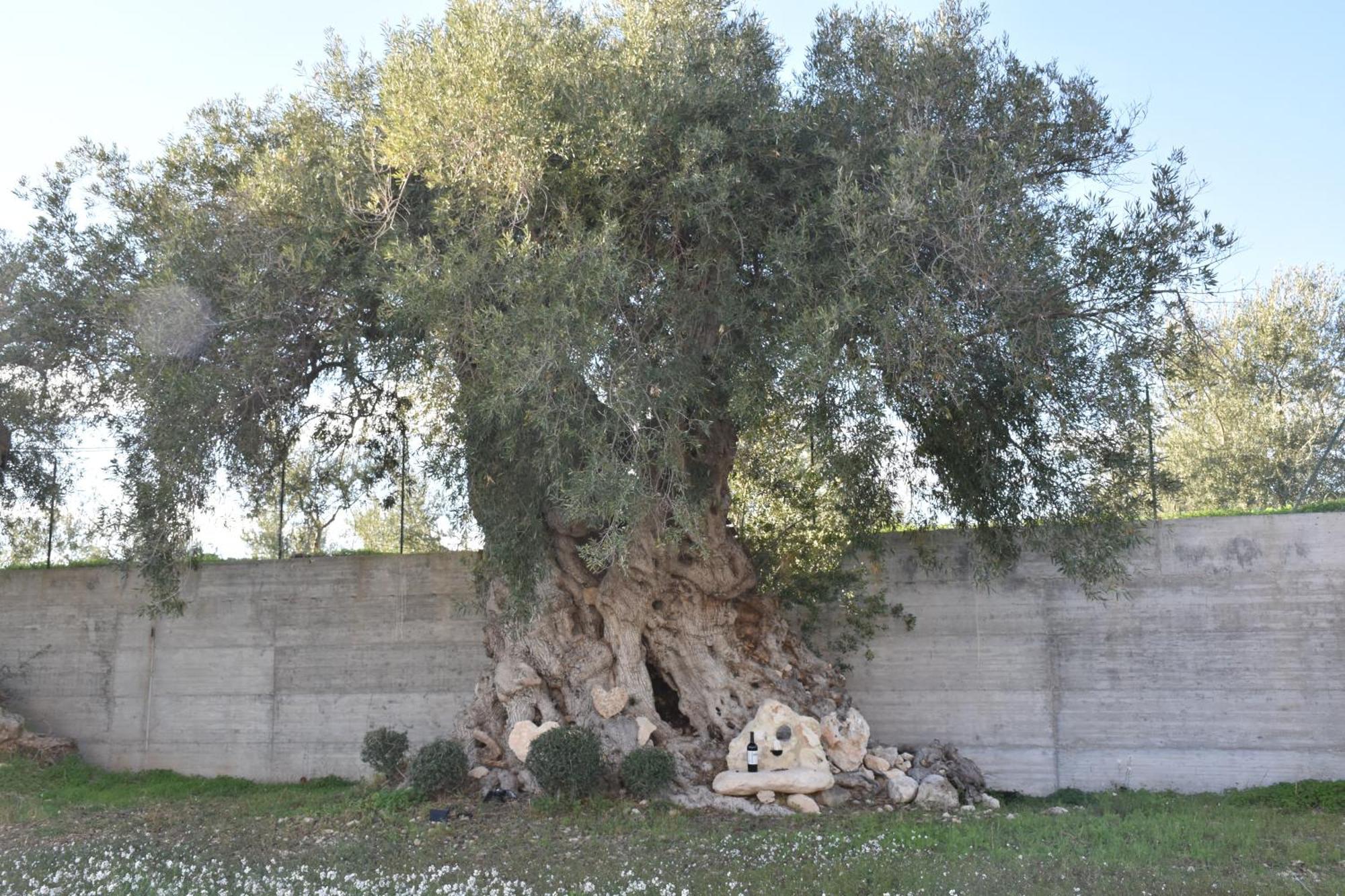 I Secolari Di Giulia Villa Avola Kültér fotó